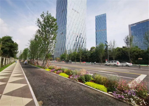 一道串九园 造出一条新经济大道｜锦江大道刷新工程树模段完工 - 新闻动态 - 申博官网