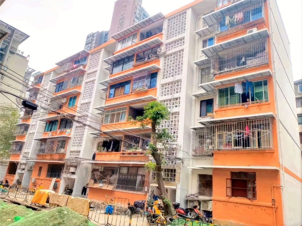 新闻动态 - 申博官网